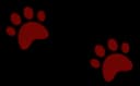 imagen patitas